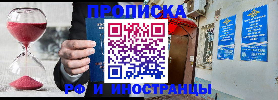 прописка 2025 в Купино